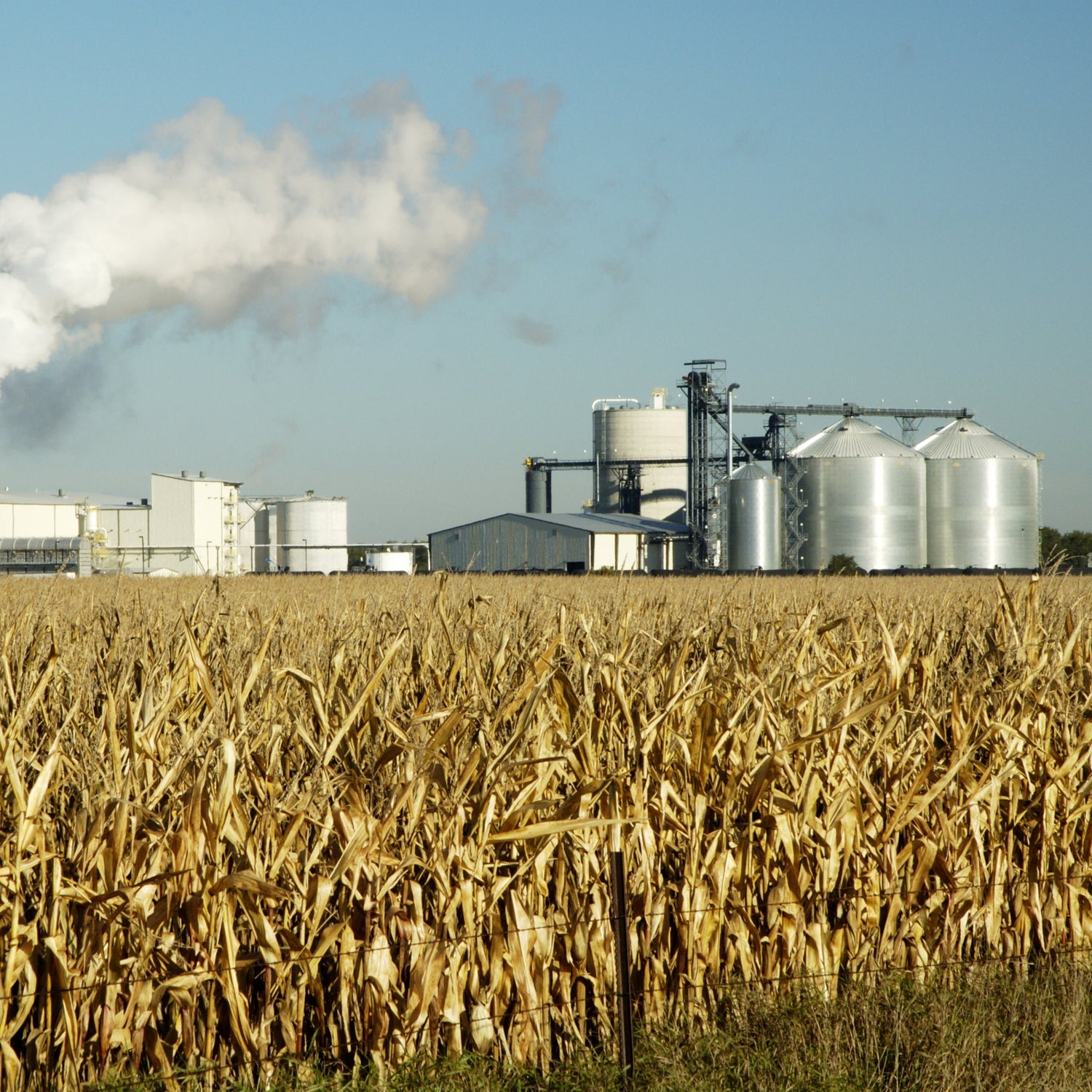An ethanol production plant in South Dakota, with a corn field in the foreground