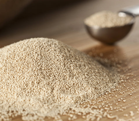 Brewers Yeast